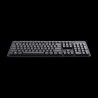 Trust teclado inalambrico en español fino y silencioso - 25013