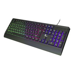 ID223XTK03_7