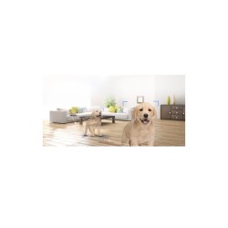 EZVIZ - Surveillance camera - CS-H6c-R105-1L3WF  Mini Camara