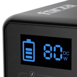 Forza - Battery backup - 100 Watt - AC 110/120 V - Titan Series