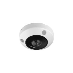 Hikvision DeepinView DS-2CD6365G1-IVS - Red de vigilancia / cámara panorámica - cúpula - contra polvo/vandalismo/agua - color (D