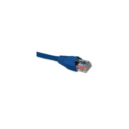 AB361NXT02_2