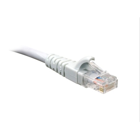 AB361NXT38_1