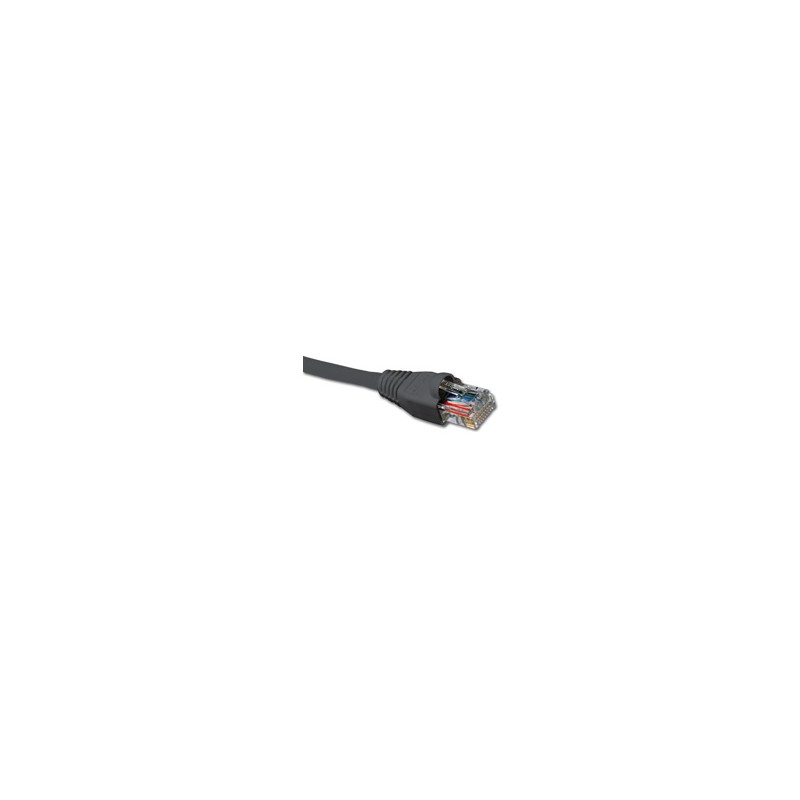 AB361NXT23_1