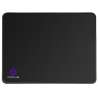 AC260PGL04_2