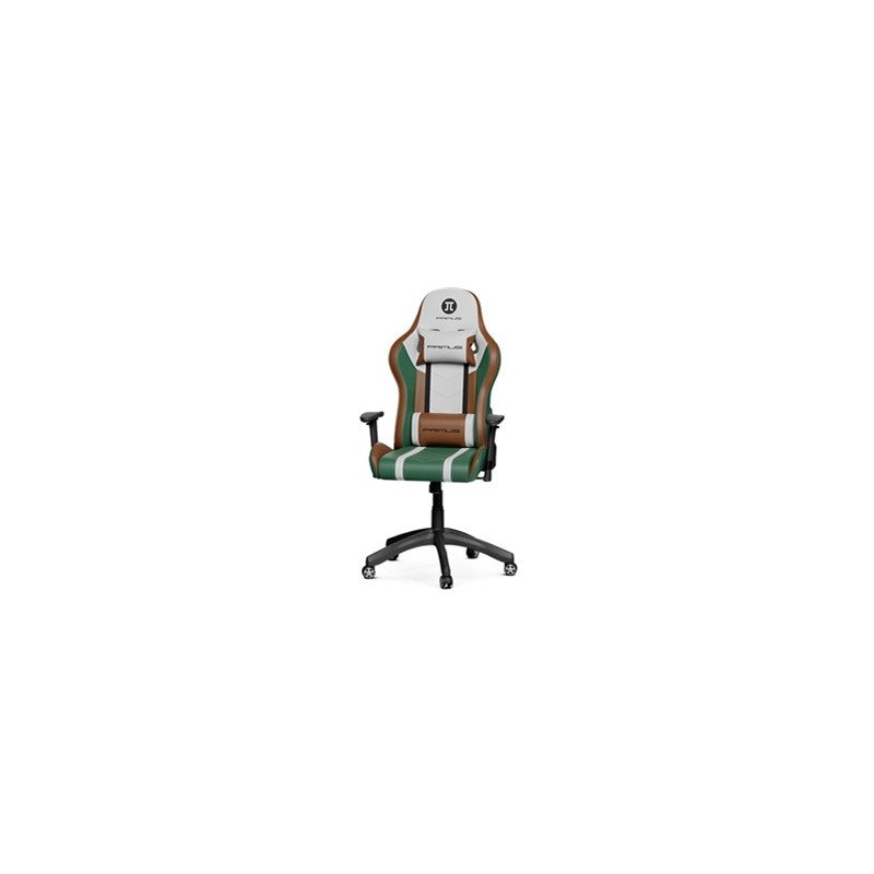 AM160PGL25_1