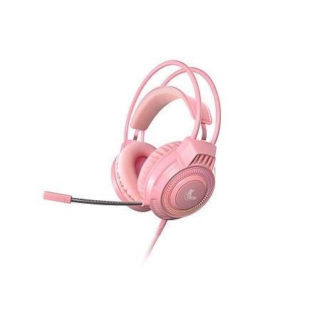 MM221XTK48_1