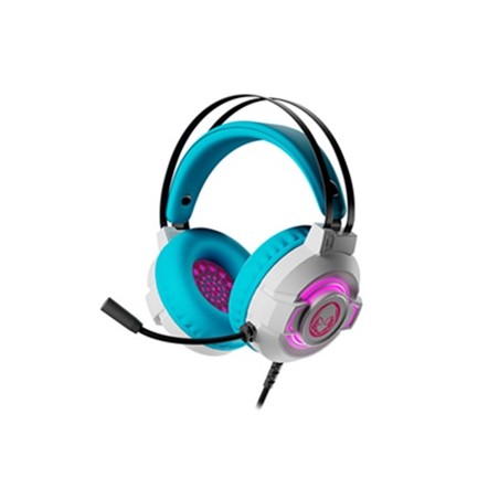 MM221XTK49_1