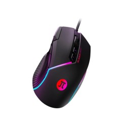 ID011PGL13_1