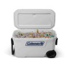 COLEMAN HIELER 316 62QT RD WE 3000006482