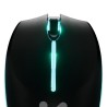 Xtech - XTM-318 - Mouse - 2.4 GHz - Wireless - Black - 4 buttons with Light 3200 dpi
