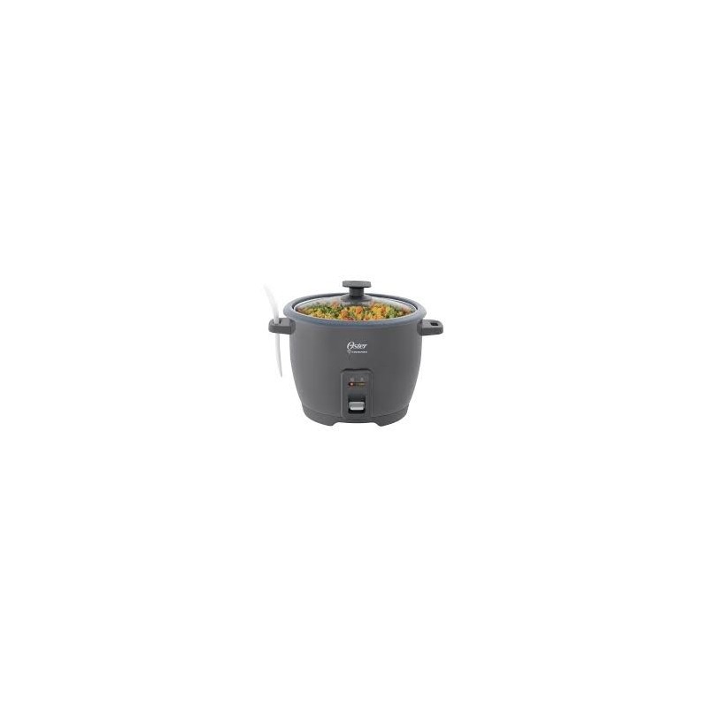 Arrocera Oster Gris CKSTRCB10DFSKE