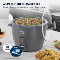 Arrocera Oster Gris CKSTRCB10DFSKE