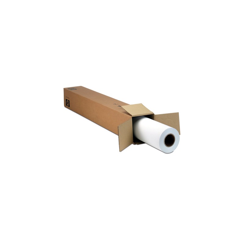 HP papel rollo heavyweigth coated 54In 100Ft C6570C