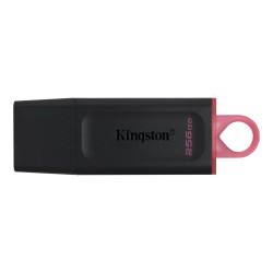 Kingston usb memoria exodia USB 3.2 negro.rosado DTX256GB