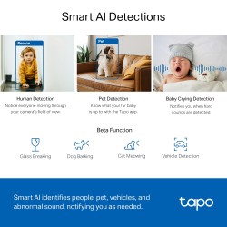 TPlink camara WiFi vigilancia 360º  Tapo C220