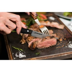 Westinghouse juego de cuchillos para carne de 2 piezasWCKF007602ABK