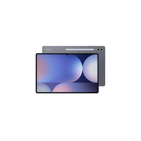 Samsung Galaxy Tab S10 Ultra WiFi 12GB/256GB Gray SM-X920NZADGTO