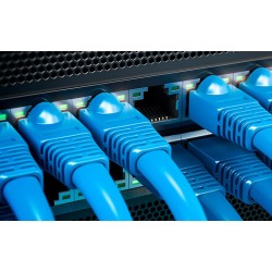 Xtech - Network cable - Unshielded twisted pair (UTP) - 305 m - Gray - CAT6 24 AWG XTC-226