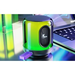 Xtech XTS-617 - Speakers - Black - w/ lights BT 5W TWS