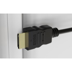 Xtech - Video / audio cable - HDMI - HDMI - 50ft-m/m-XTC-383