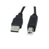 Xtech - USB cable - 3.04 m - 4 pin USB Type B - 4 pin USB Type A - 2.0 male-male mold