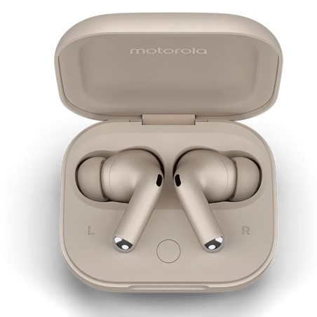 Motorola Moto - Auriculares con diadema - Inalámbrico - Pumice Stone - 2400-2483.5 MHz